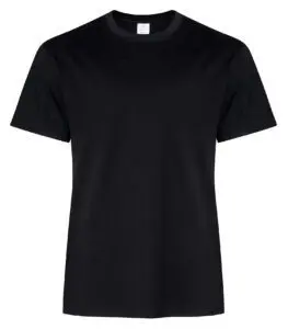 ATC Everyday Ring Spun Cotton Tee ATC2000 in classic fit