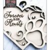 chr0020 forever in our heart 01 scaled 1 jpg