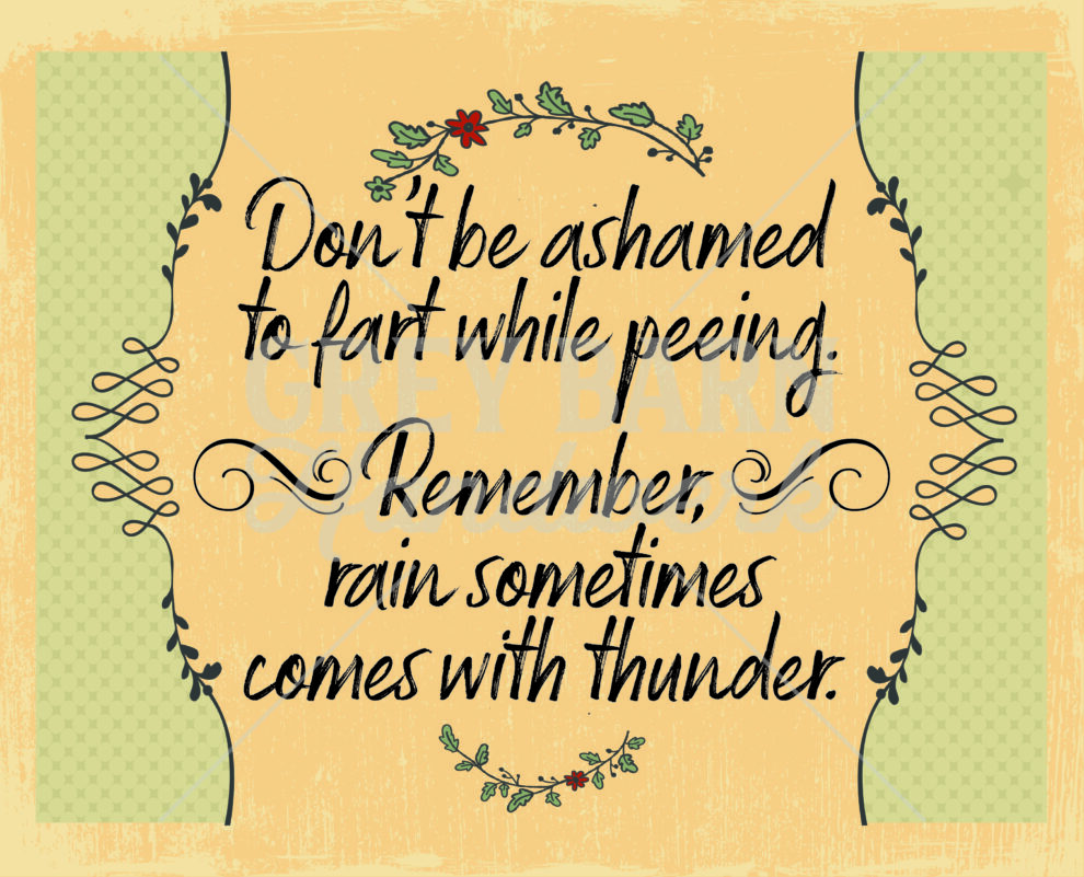 wc 0882 don t be ashamed to fart while peeing remember rain sometimes comes with thunder 01