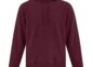 gbh-blank-atcf2500-maroon