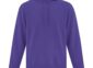 gbh-blank-atcf2500-purple