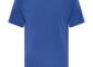 Everyday cotton tee blank in Royal