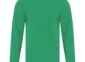 Everyday cotton long sleeve tee blank in Kelly