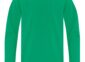 Everyday cotton youth long sleeve tee blank in Kelly