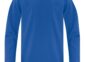 Everyday cotton youth long sleeve tee blank in Royal