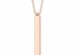Stainless steel engraved necklace, hidden message vertical bar, rose gold