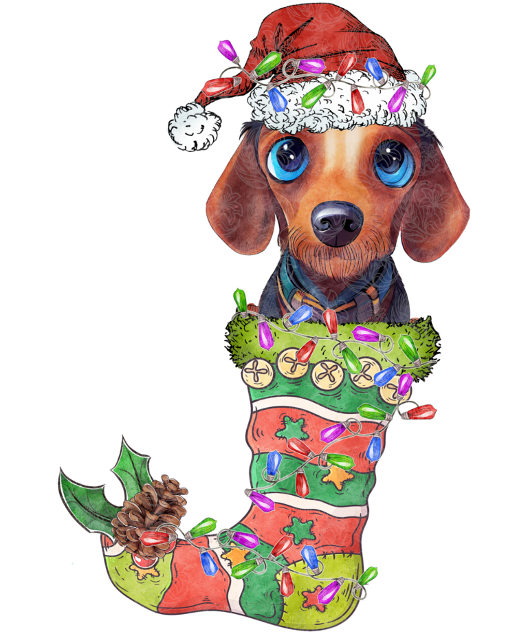 Dachshund christmas stocking illustration showing a wiener dog in a decorated holiday stocking with colourful lights and Santa hat, Grey Barn Handwerk, Saskatchewan.