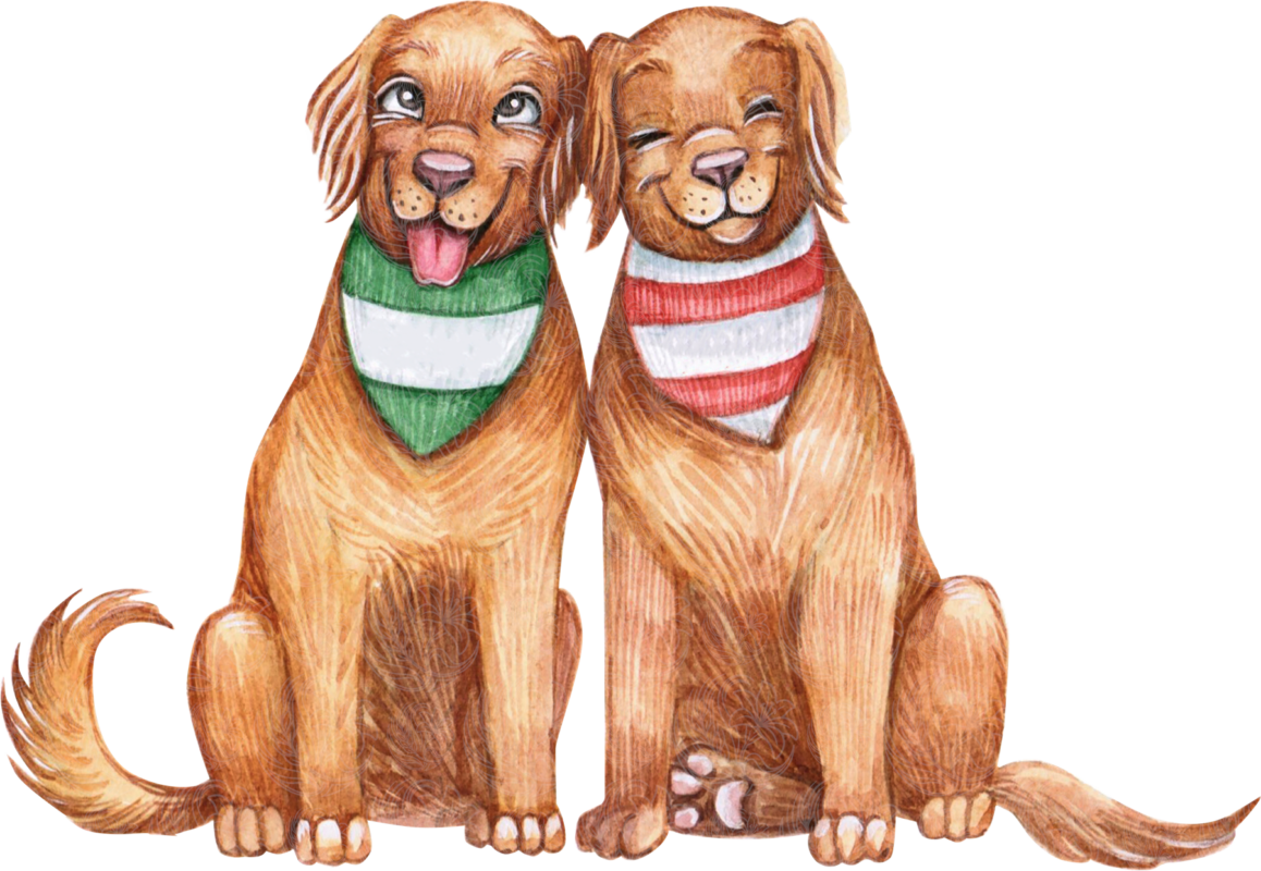 golden retriever dogs sitting side by side wearing festive bandanas, illustrated in watercolour, Grey Barn Handwerk, Saskatchewan.