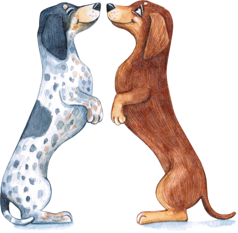 Dachshund dogs standing upright nose-to-nose, one dappled one red-brown, watercolour illustration, Grey Barn Handwerk, Saskatchewan.