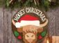Highland Cow Christmas Sign on the wall